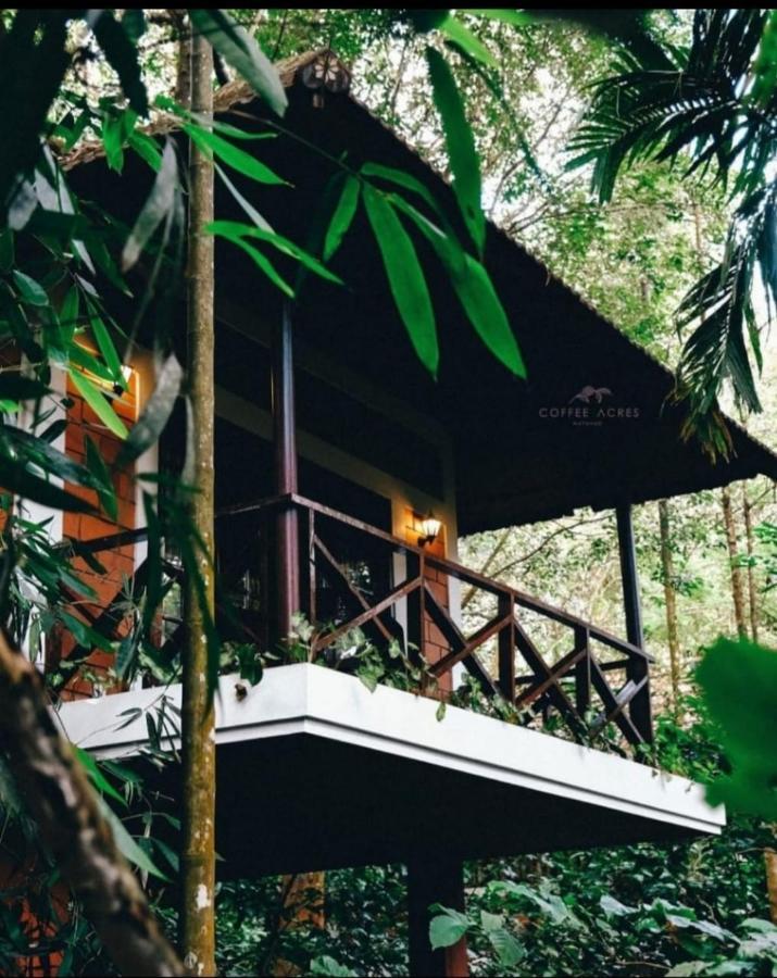 Coffee Acres Resort Kalpatta Eksteriør bilde