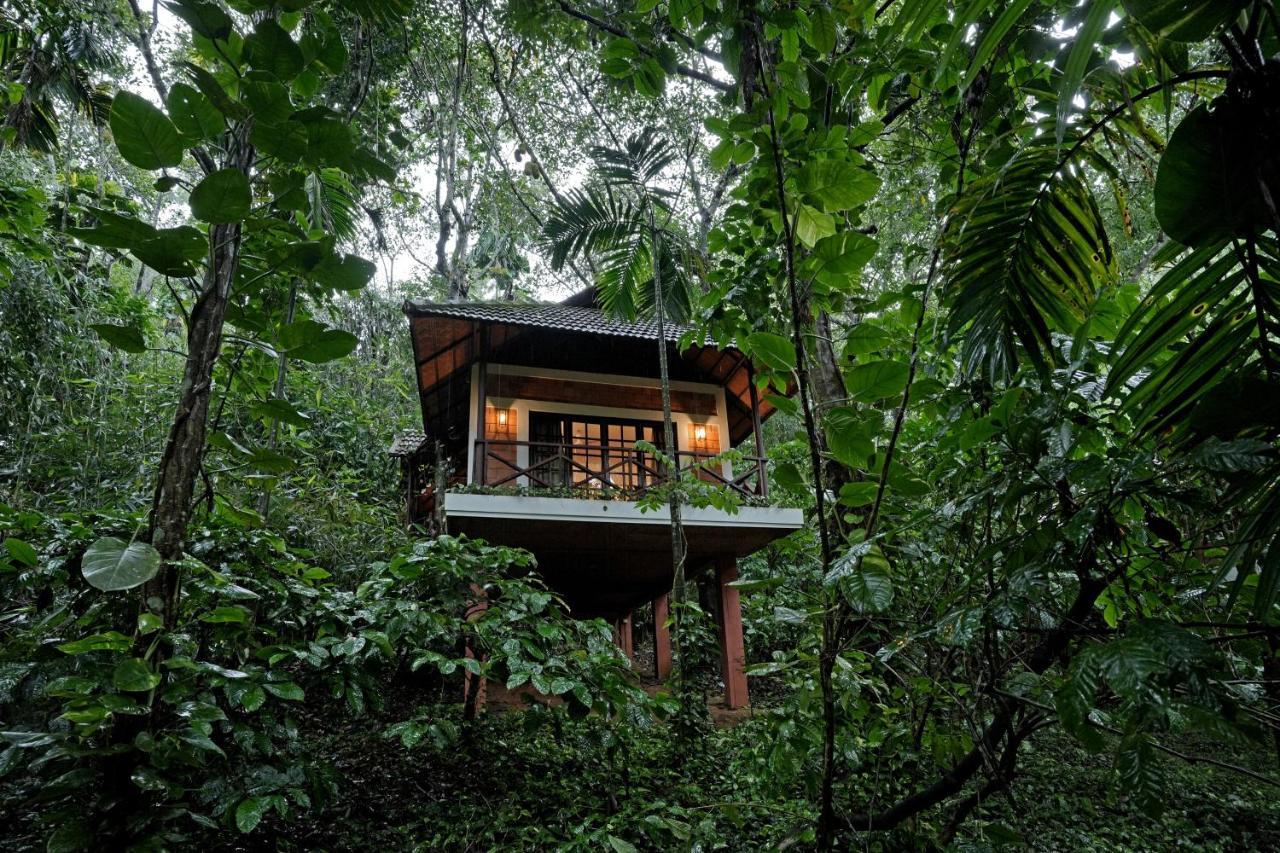 Coffee Acres Resort Kalpatta Eksteriør bilde