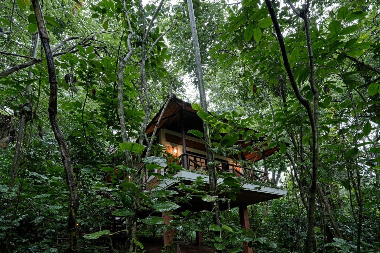 Coffee Acres Resort Kalpatta Eksteriør bilde