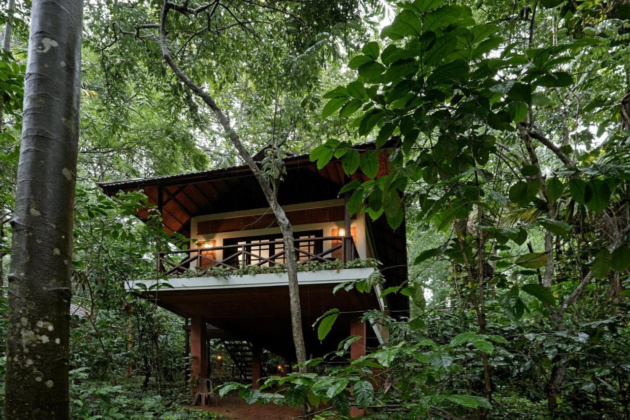 Coffee Acres Resort Kalpatta Eksteriør bilde